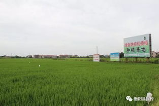 这个企业不简单 推动设立30万创新奖励基金,力争年销售收入突破6亿